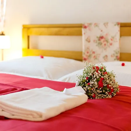 Bed and breakfast Perla Beskidu Ustroń